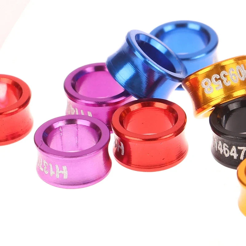 10Pcs Outdoor Bird Flying Training Ring - MyPetDollar.com