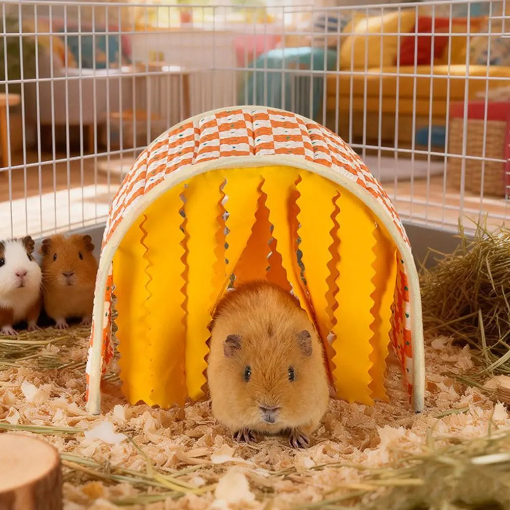 Cute Large Space Guinea Pig Tunnel Summer - MyPetDollar.com