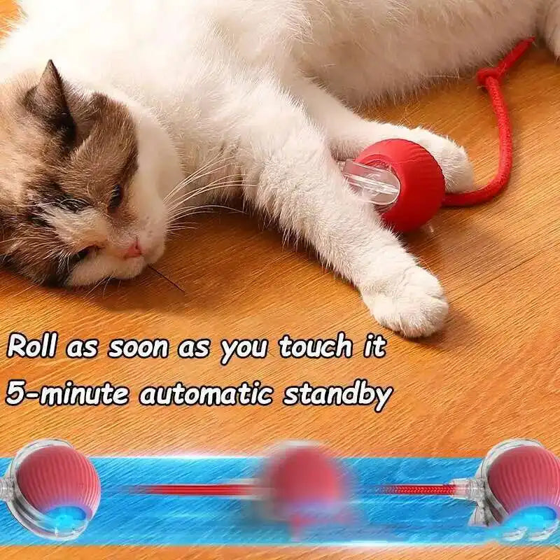 Smart Dog Interactive Ball Toys Automatic - MyPetDollar.com