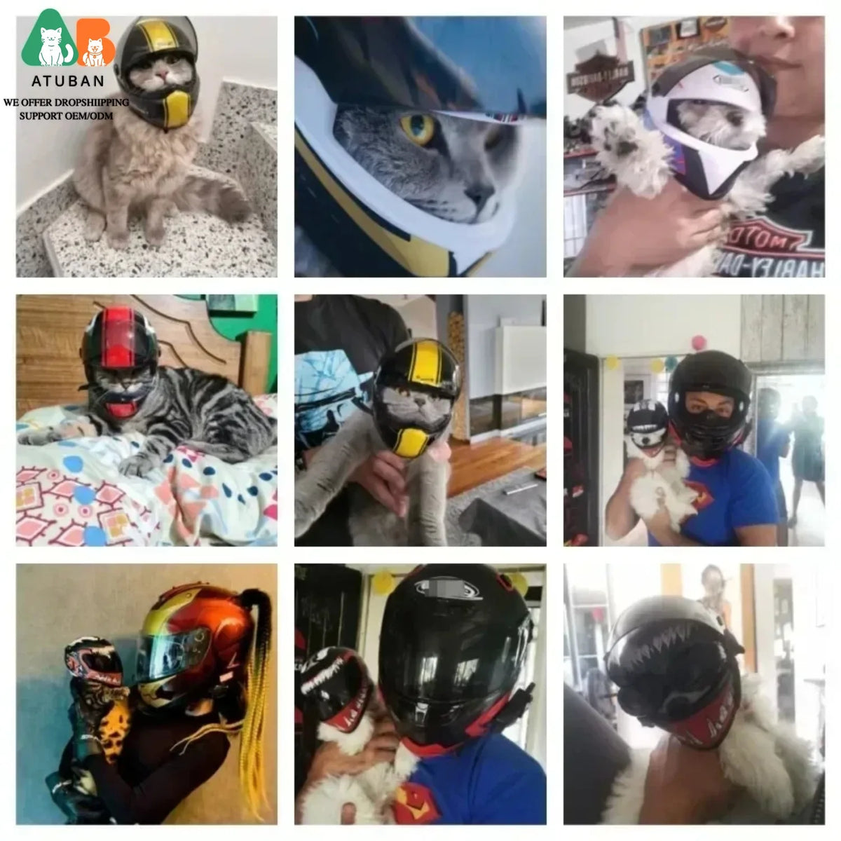 ATUBAN Pet Motorcycle Helmet, Puppy Cat - MyPetDollar.com