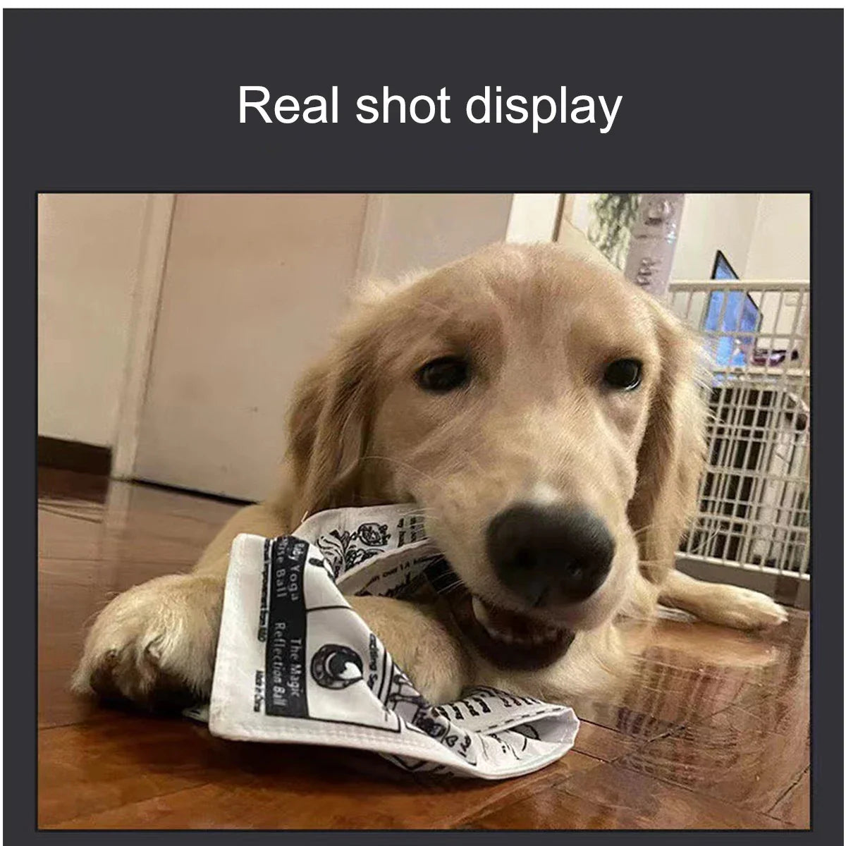 1pc Tearproof Pet Dog Sound Toy Simulated - MyPetDollar.com