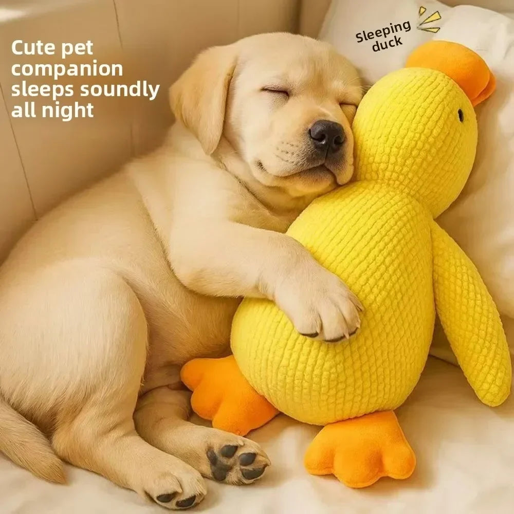 1/3PCS Things For Dogs Accessories Dog - MyPetDollar.com