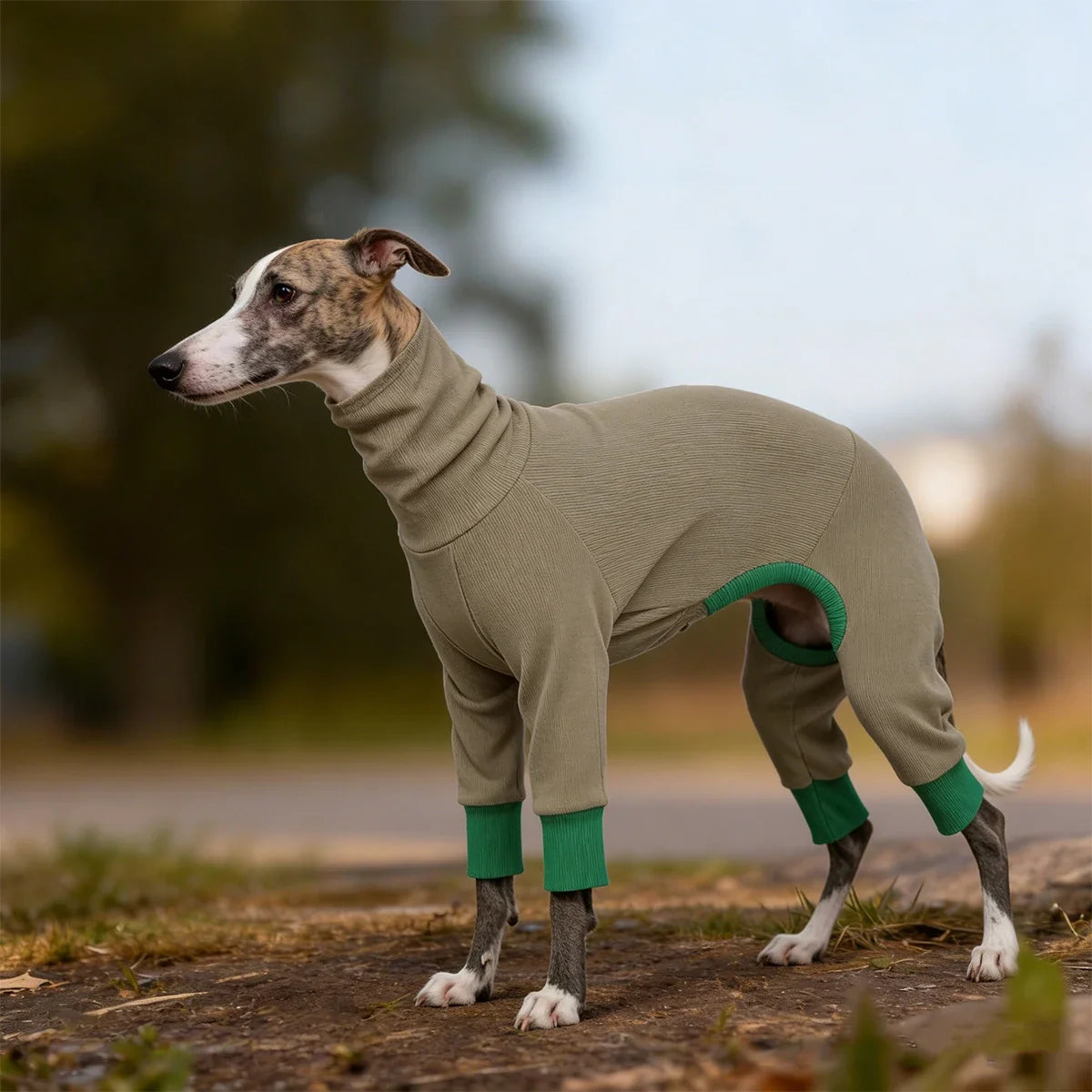 Turtleneck Dog Jumpsuit Soft Ribbed Knit Dog - MyPetDollar.com