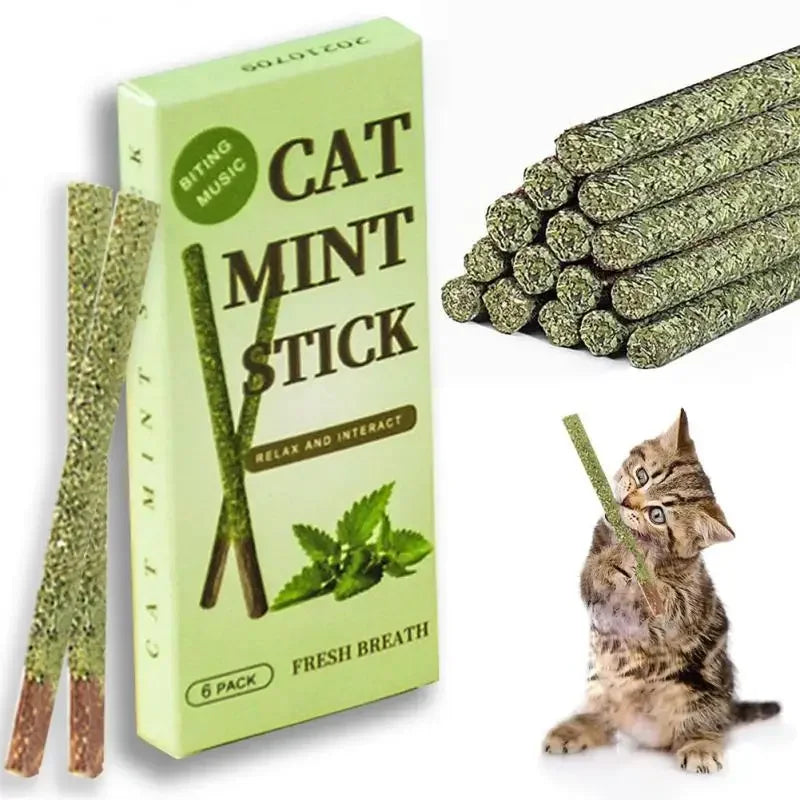 6pcs Natural Matatabi Cat Stick Mint Caught - MyPetDollar.com