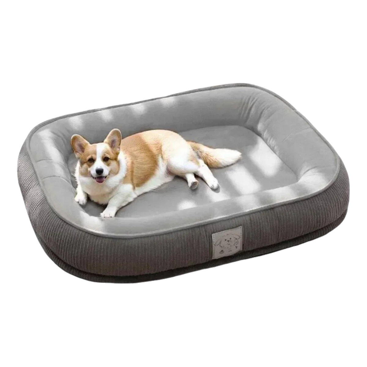 Thickened Wear Resistance Small Breed Dog - MyPetDollar.com