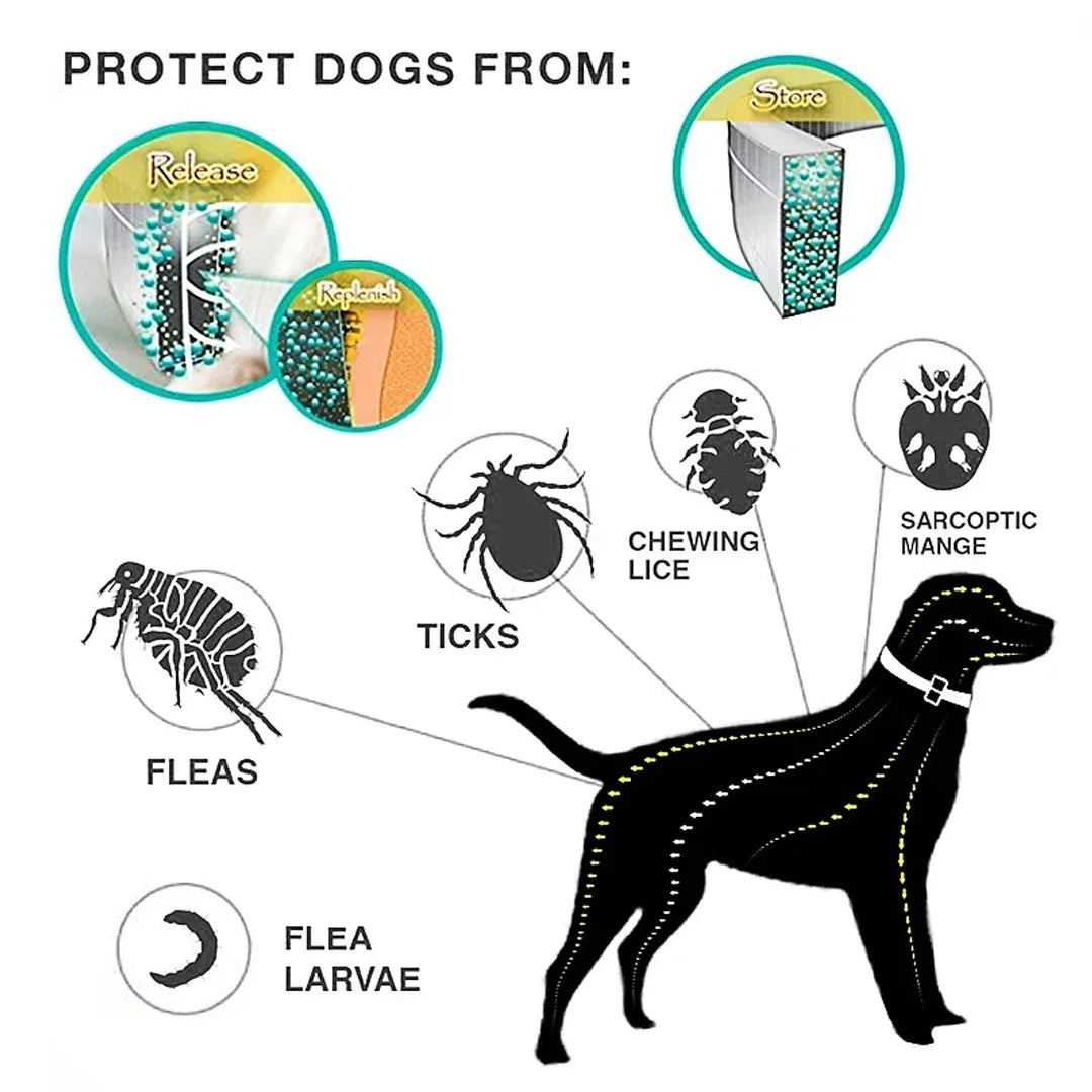 Dog Anti Flea And Tick Collars Pet 8 Month - MyPetDollar.com