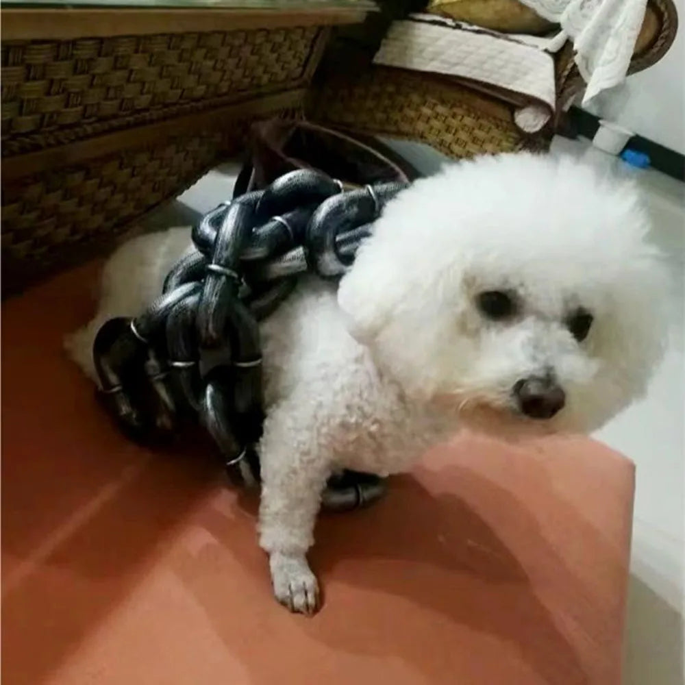 Sensationally Funny Pet Lead Puppy Cat Leash - MyPetDollar.com