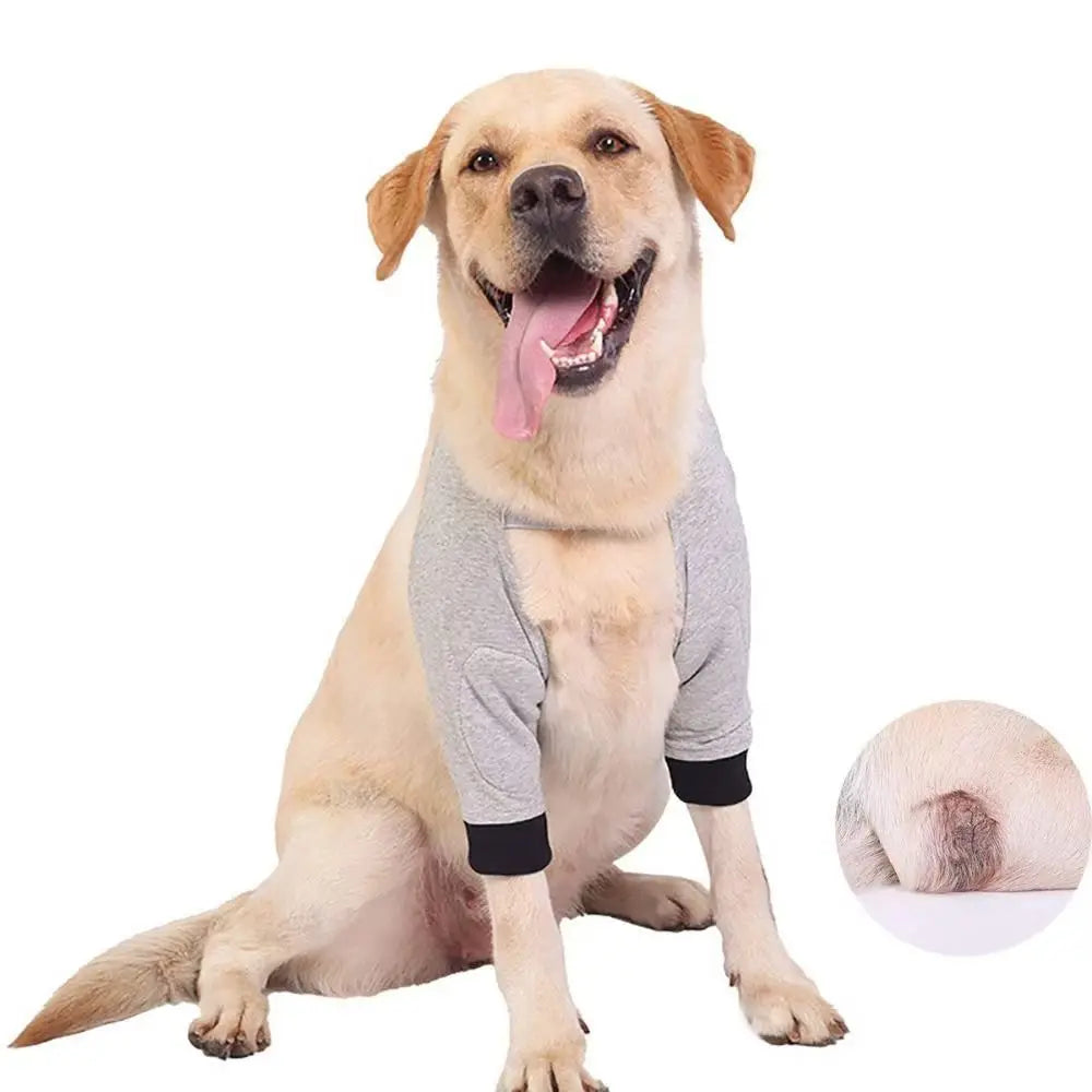 Pet Dog Puppy Elbow Brace Protector Pet - MyPetDollar.com