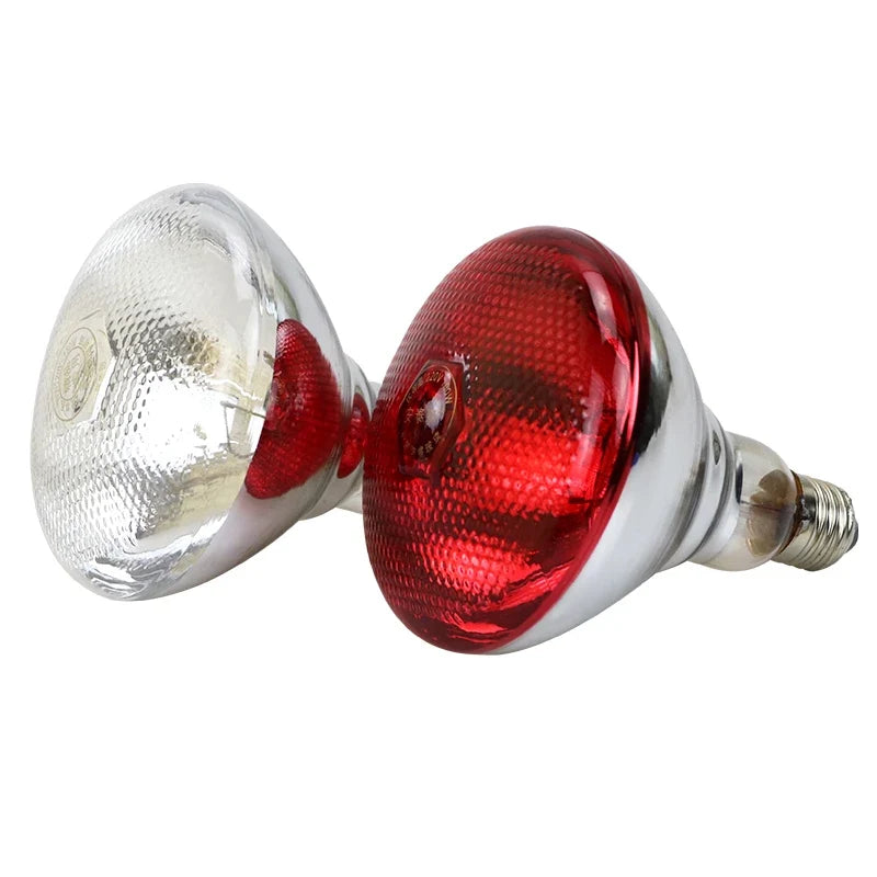 220V 100W/150W/200W/250W Thickened Heating - MyPetDollar.com