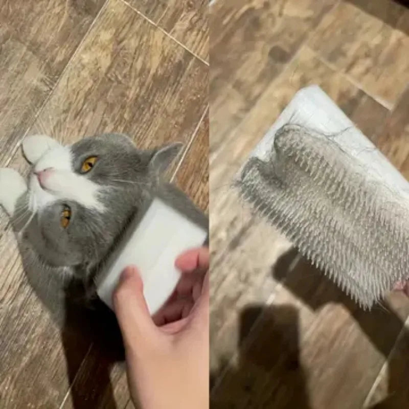 Cat Massage Brush Tongue Sensory Cleaning - MyPetDollar.com