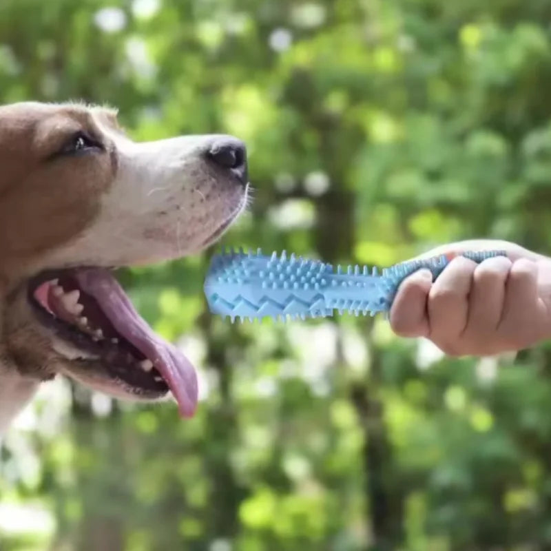 Dog Teething Toy Chew Stick Bite Resistant - MyPetDollar.com
