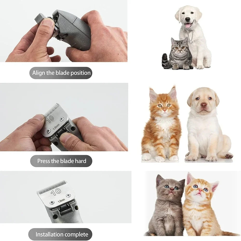 3F 4F 5F 7F 9# 10# 30# 40# 50# Professional - MyPetDollar.com