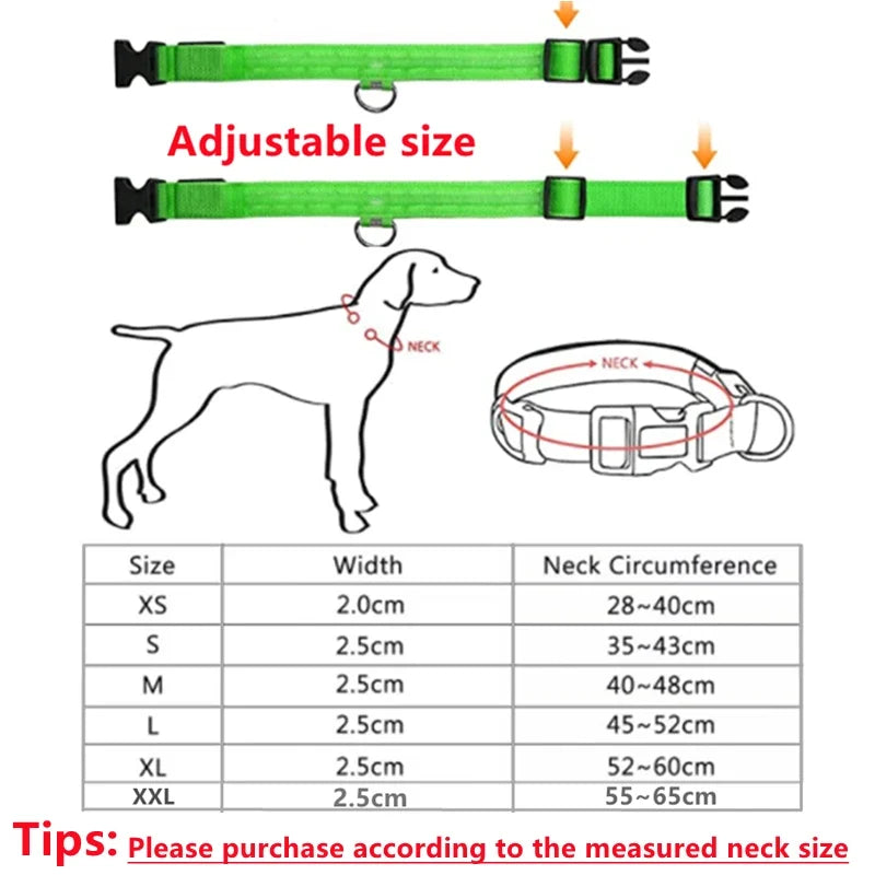 USB Rechargeable Luminous Collar Adjustable - MyPetDollar.com
