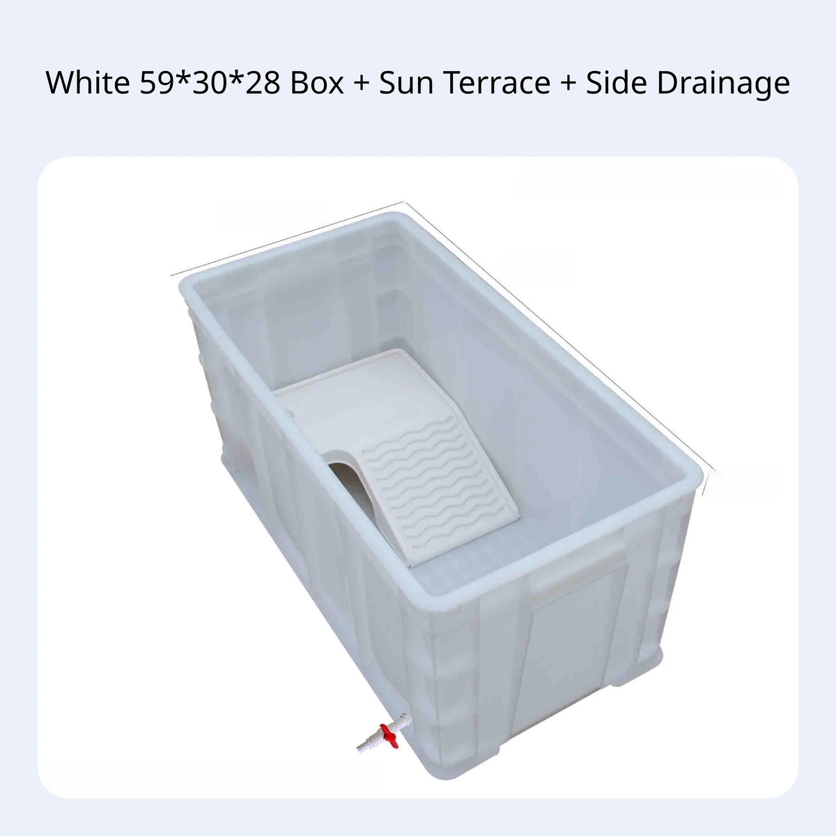 Rectangular Turtle Habitat with Drain Narrow Tank for Reptiles