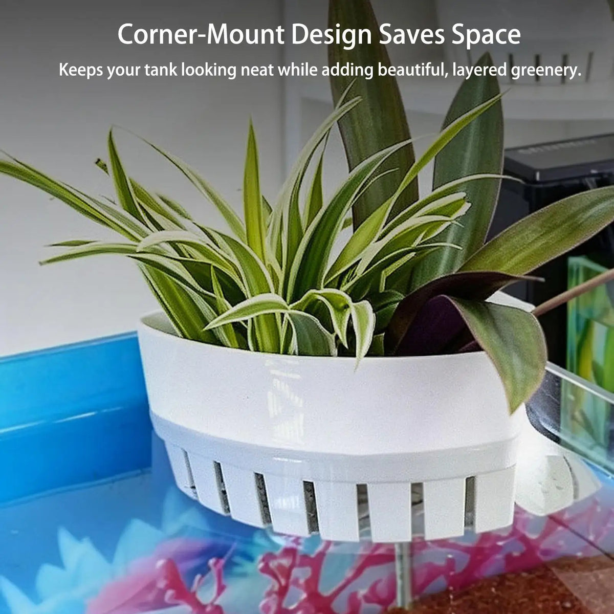 Aquarium Plant Holder Plastic Basket with - MyPetDollar.com