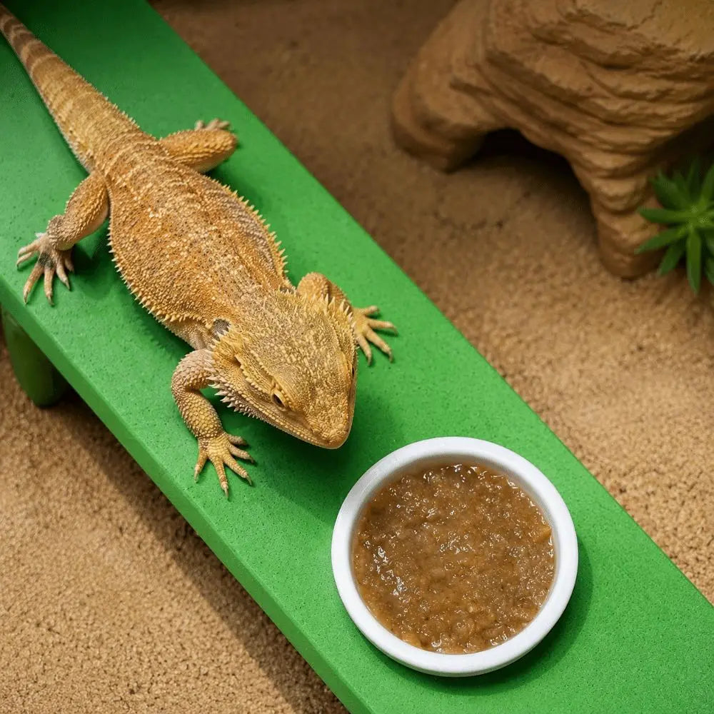 Anti Slip Lizard Feeding Stick EVA Wear - MyPetDollar.com