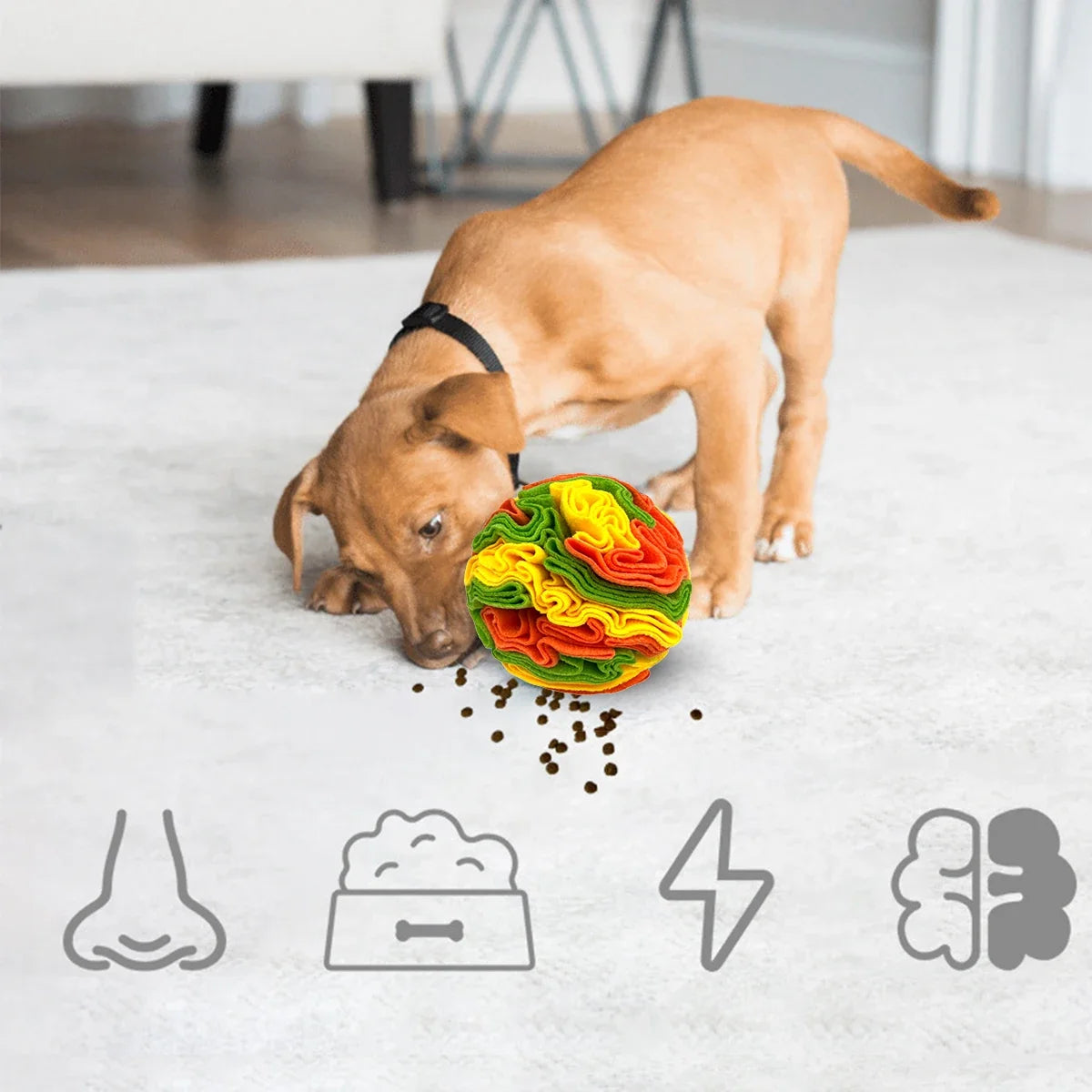 Interactive Dog Toys Snuffle Ball for Dogs - MyPetDollar.com