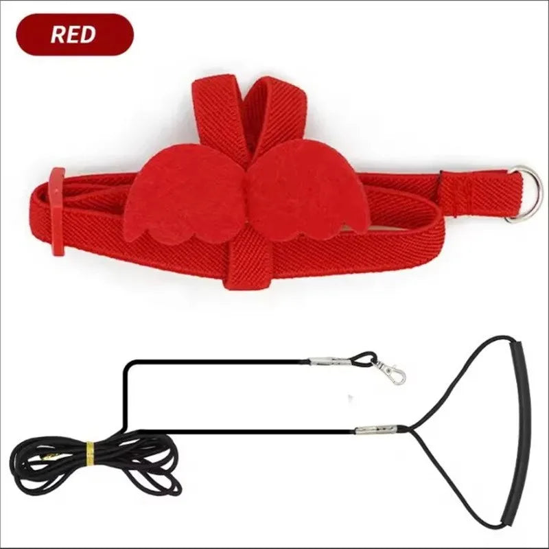 Birds Supplies Parrot Harness Leash Set