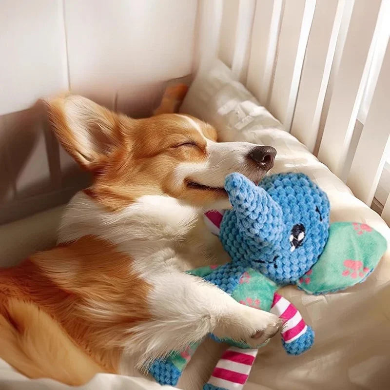 Pet Plush Toy Cute Animals Bite Resistant - MyPetDollar.com