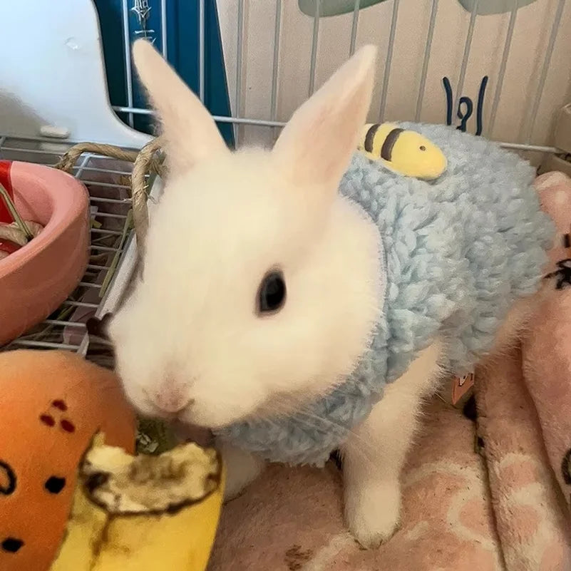 Winter Warm Bunny Rabbit Sweater for Little - MyPetDollar.com
