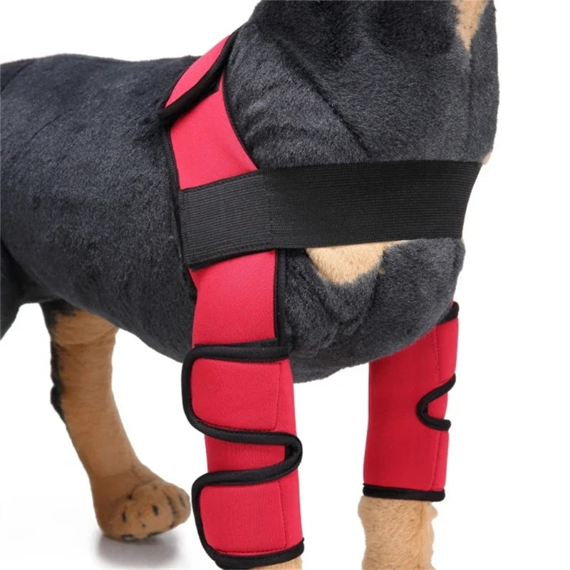 2023 Front Dog Elbow Protector Dog Knee - MyPetDollar.com