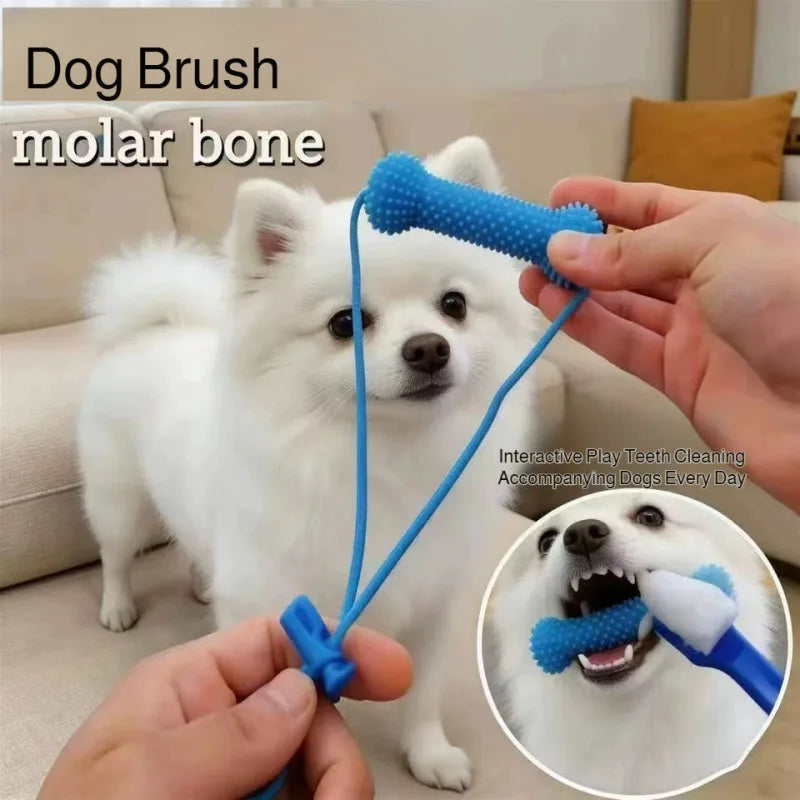 Dog Teeth Cleaning Chew Toy Bite‑Resistant - MyPetDollar.com