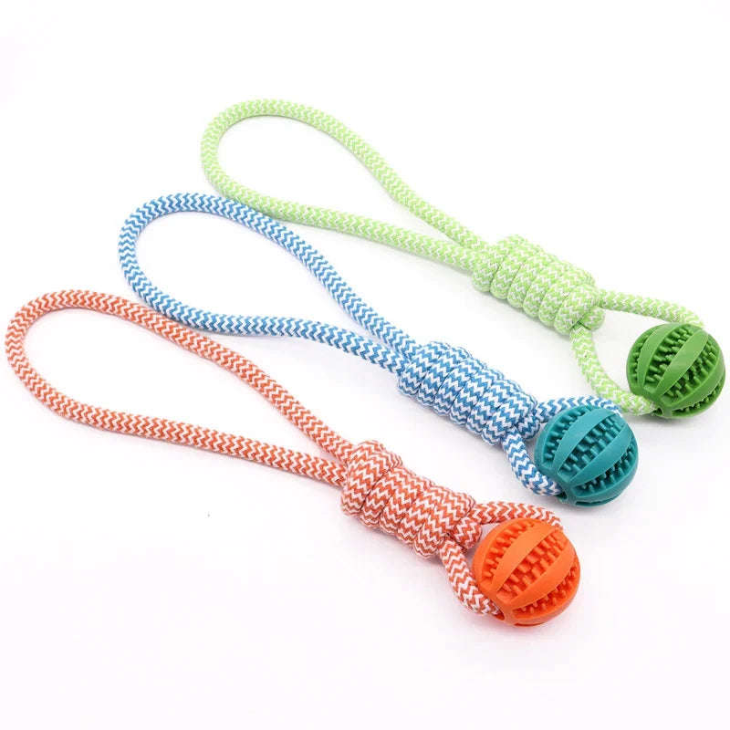 Pet Tooth Cleaning Pet Ball Toy with Rope - MyPetDollar.com