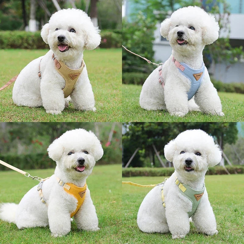 Puppy Harness Leash Set for Small Medium Dog - MyPetDollar.com