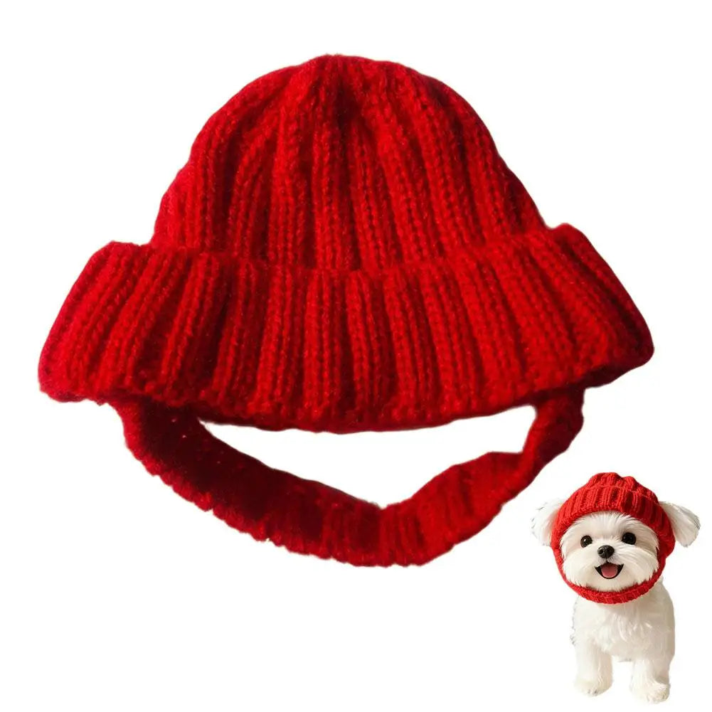 Cat Hat Cute Cold Weather Windproof Autumn Winter Small Medium