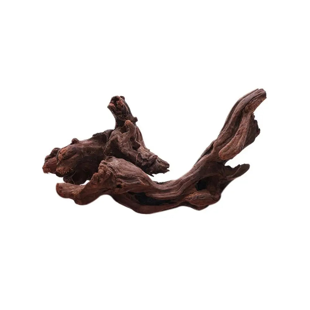 Creative Irregular Shape Coral Wood Natural Driftwood Trunk – 3 Colors
