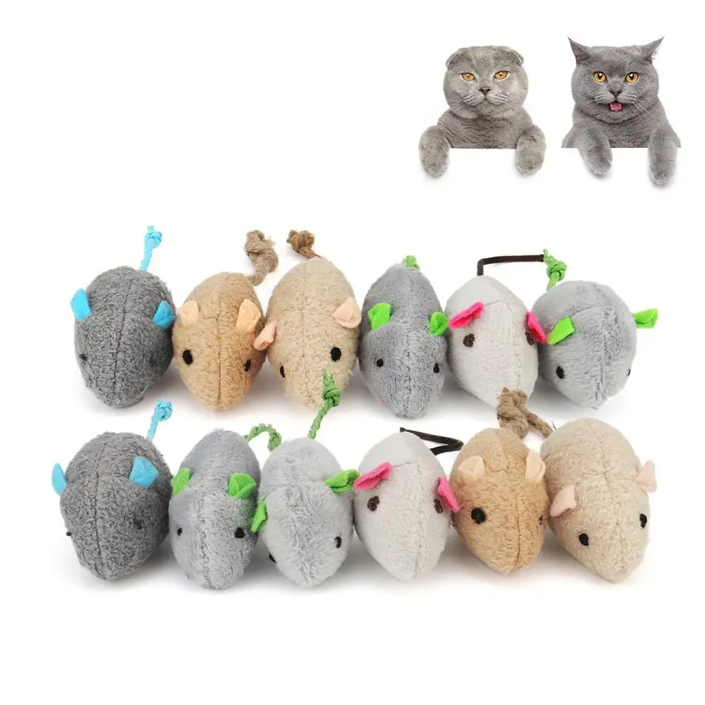 2pcs Random Color Interactive for Kitten - MyPetDollar.com