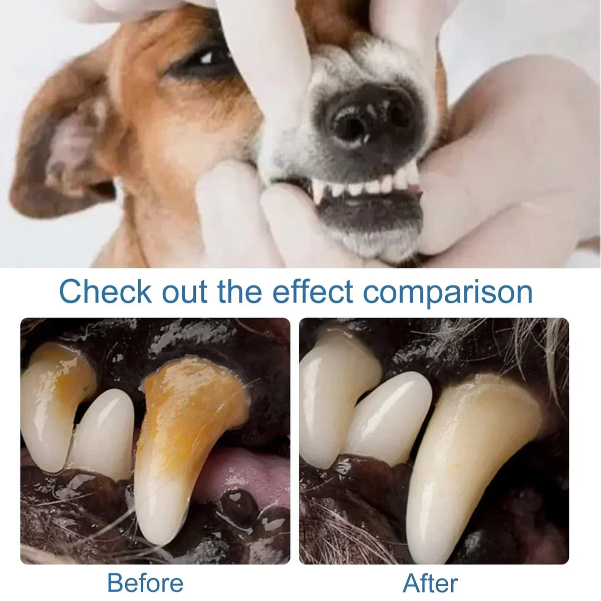 Pet Tartar Remover Natural Plaques Off & - MyPetDollar.com