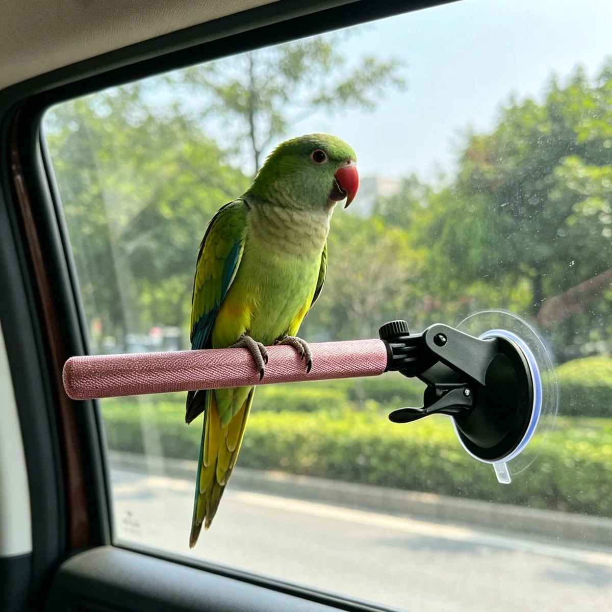 Aluminum Alloy Suction Cup Parrot Perch Anti - MyPetDollar.com