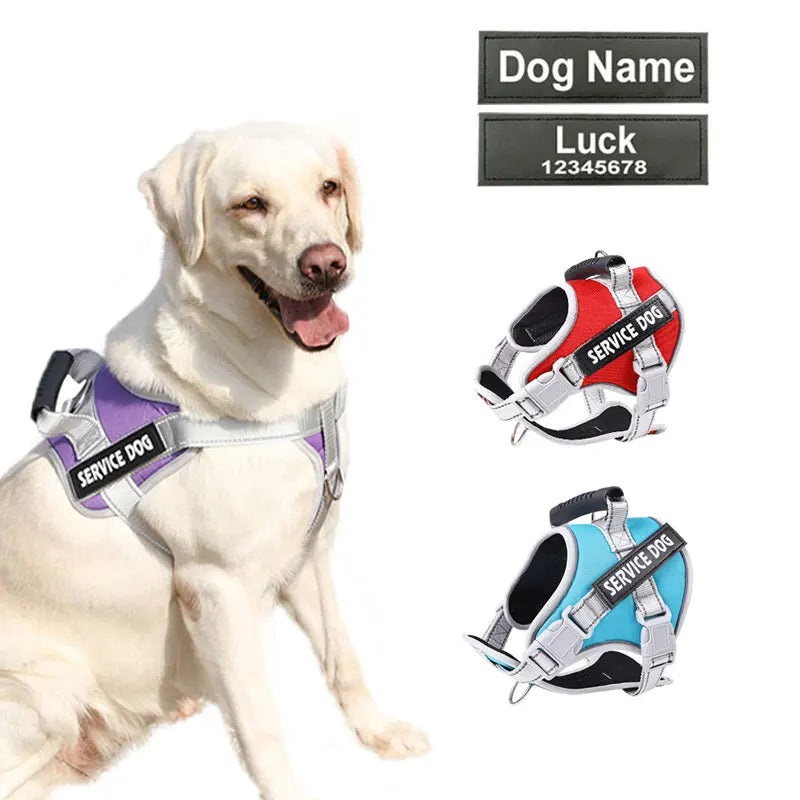 Personalized Name Dog Harness Service Dog - MyPetDollar.com