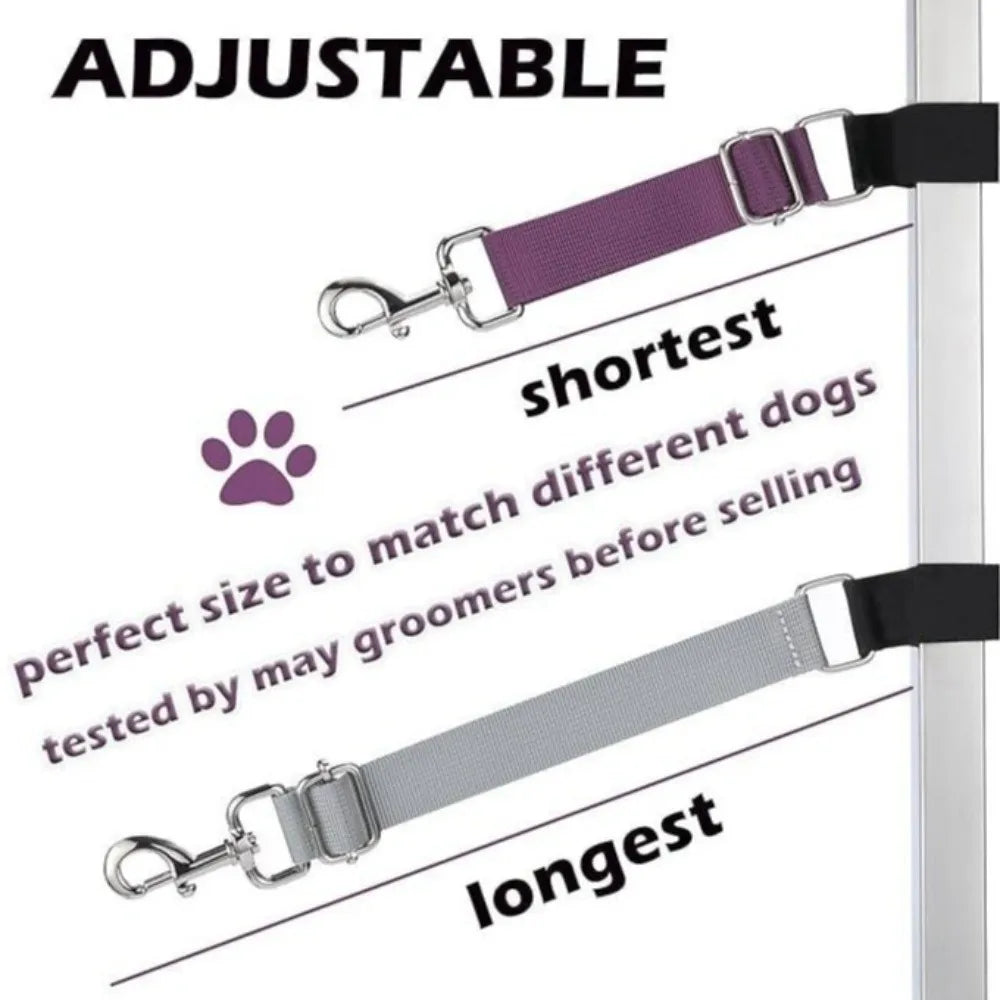 Basic Design Dog Grooming Leashes Elastic - MyPetDollar.com