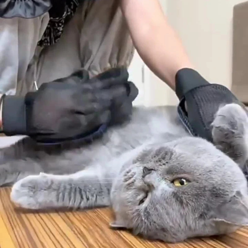 Silicone Pet Grooming Gloves Cats Hair Brush - MyPetDollar.com