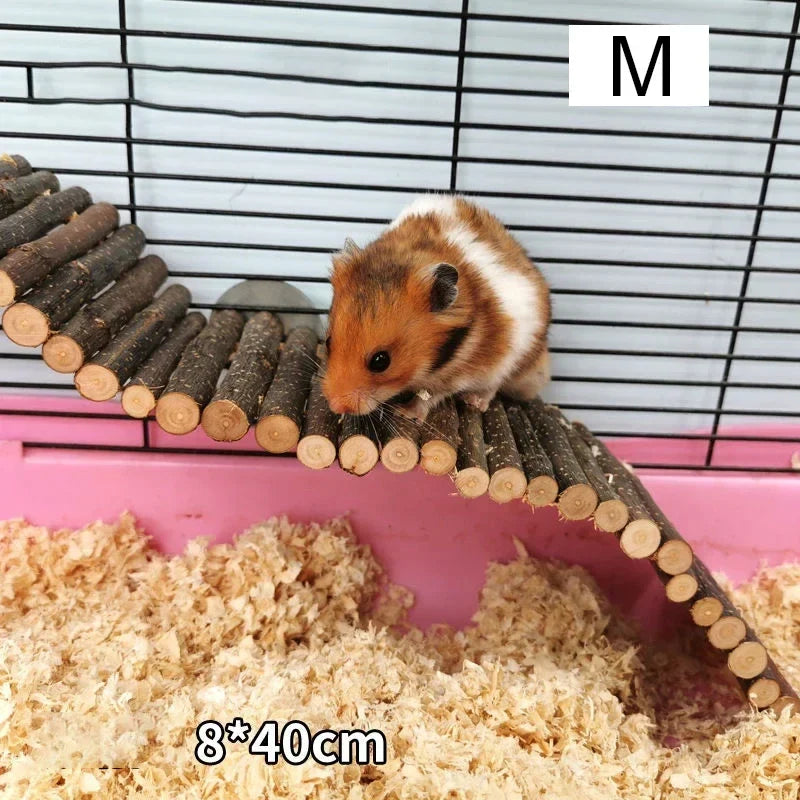Natural Coconut Shell Hamster Nest Small - MyPetDollar.com