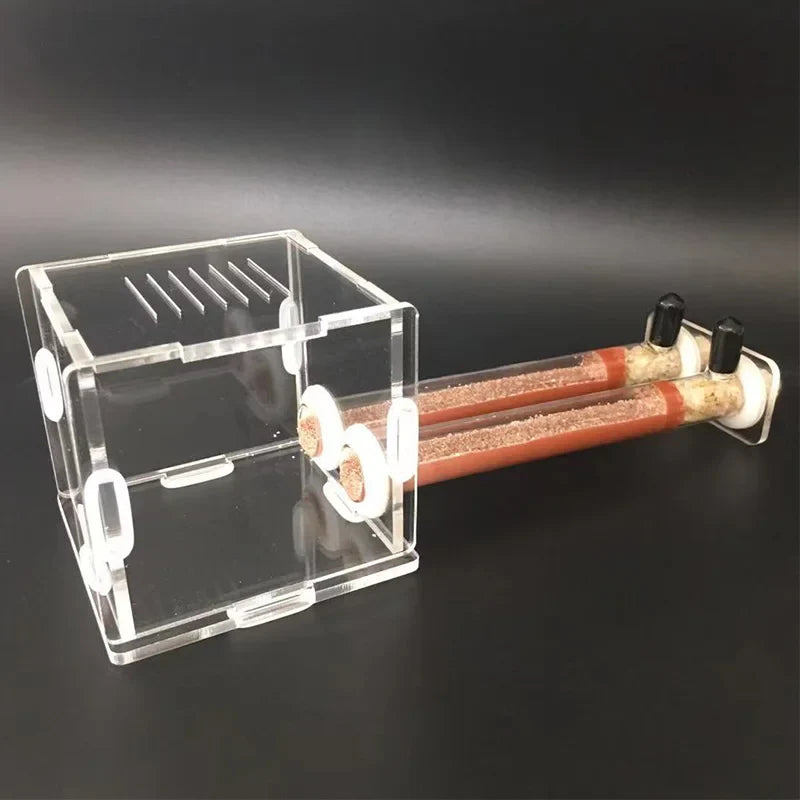 DIY Various Size Ant Farm Bamboo Tube Nest - MyPetDollar.com