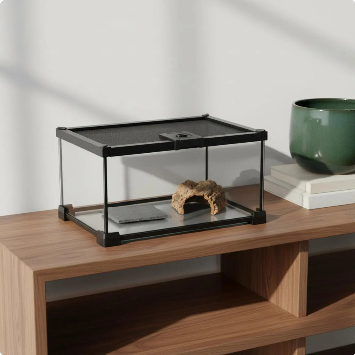 Glass Amphibian Terrarium