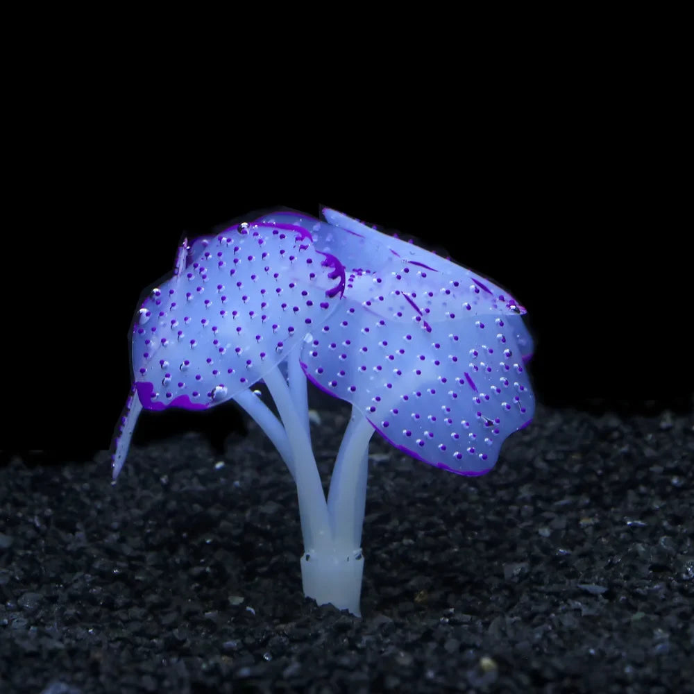 Aquarium Fish Tank Decorations with - MyPetDollar.com