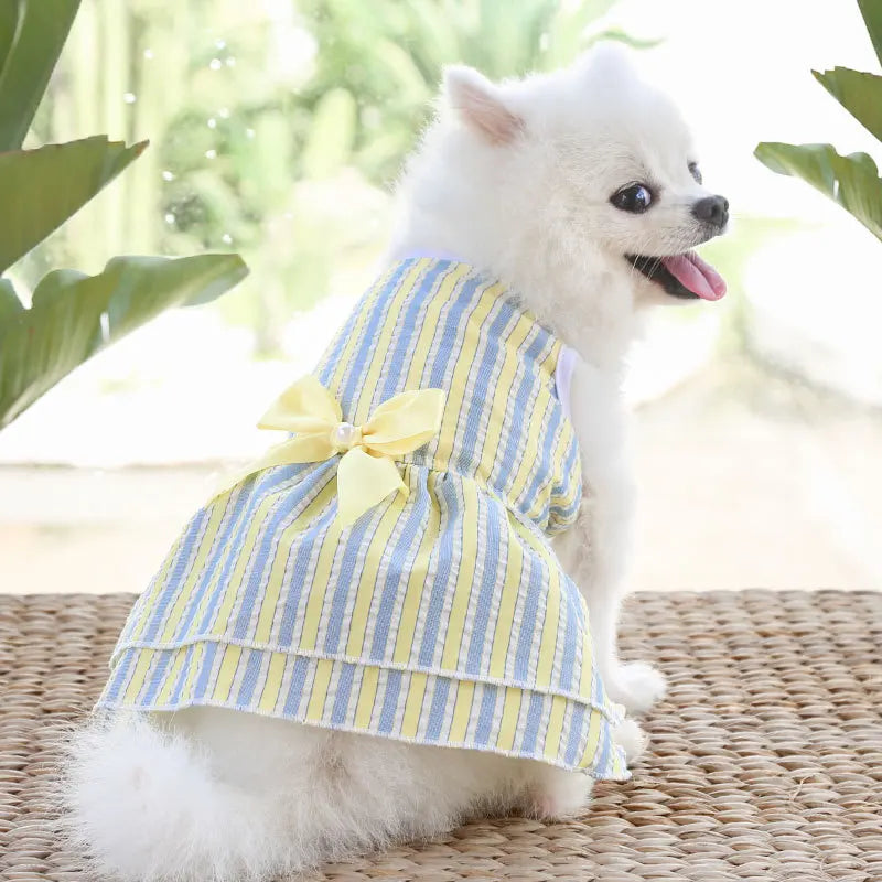 Small and Medium-sized Dogs, Spring and - MyPetDollar.com