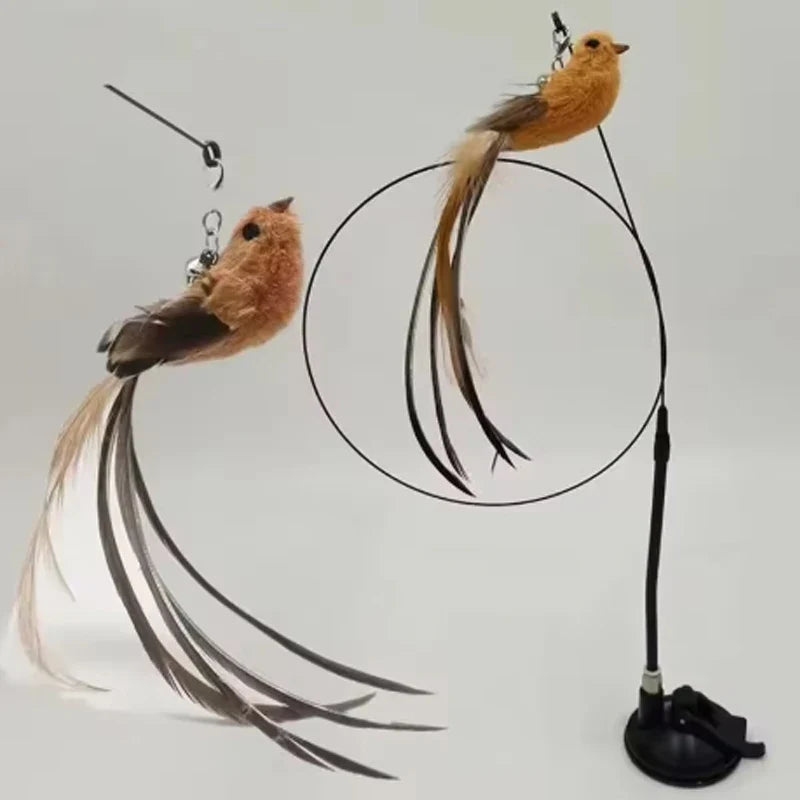 Cat toys cat self-sexy feather suction cup - MyPetDollar.com