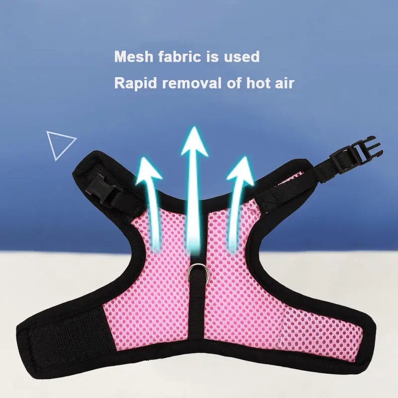Harness with Leash Set for Rabbits - MyPetDollar.com