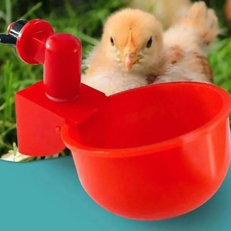 5-50Pcs Chicken Duck Drinking Cup Automatic - MyPetDollar.com