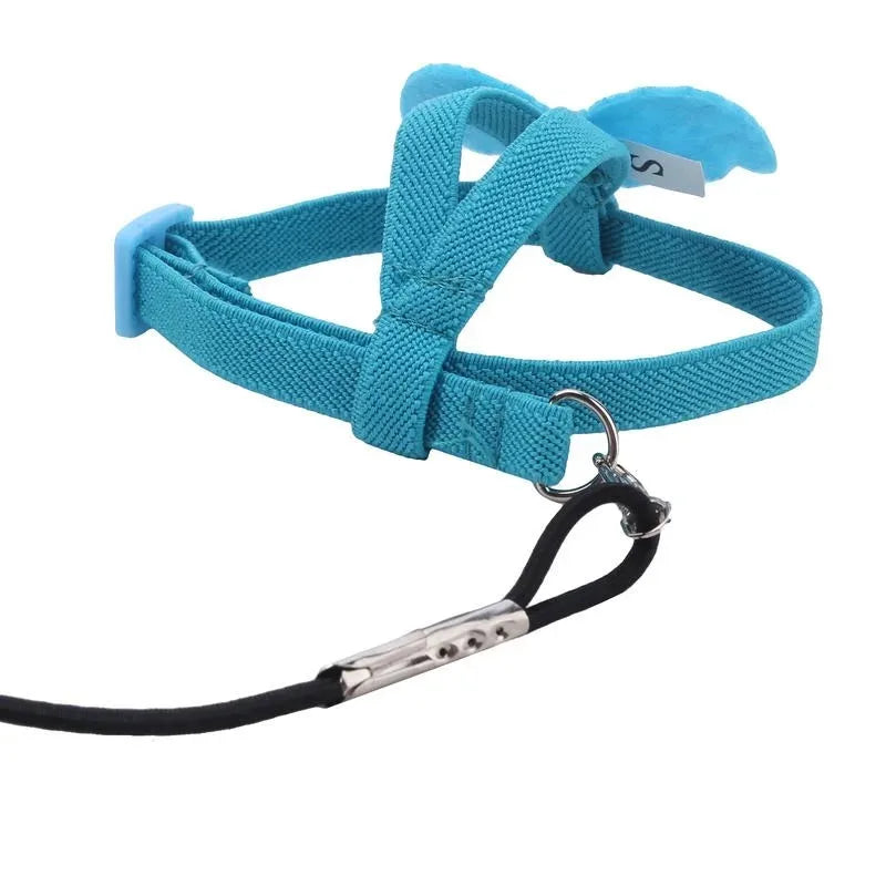 Birds Supplies Parrot Harness Leash Set