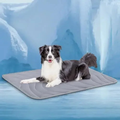 Double-Sided Gentle Wear Resistant Pet Ice - MyPetDollar.com