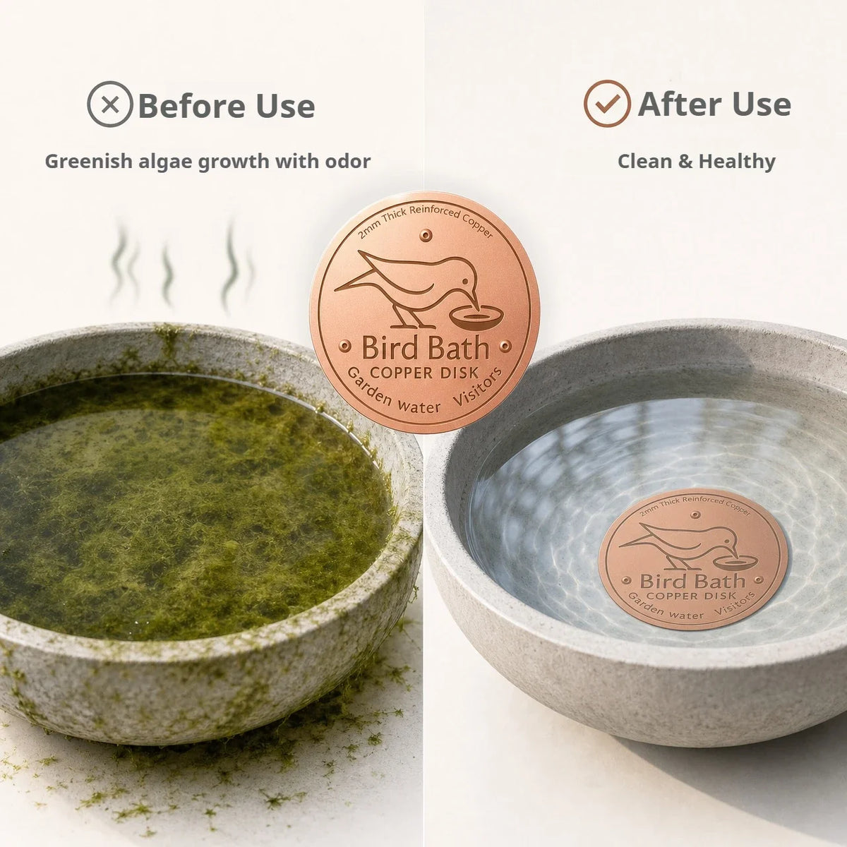10CM Bird Bath Copper Disk Purification Tray - MyPetDollar.com