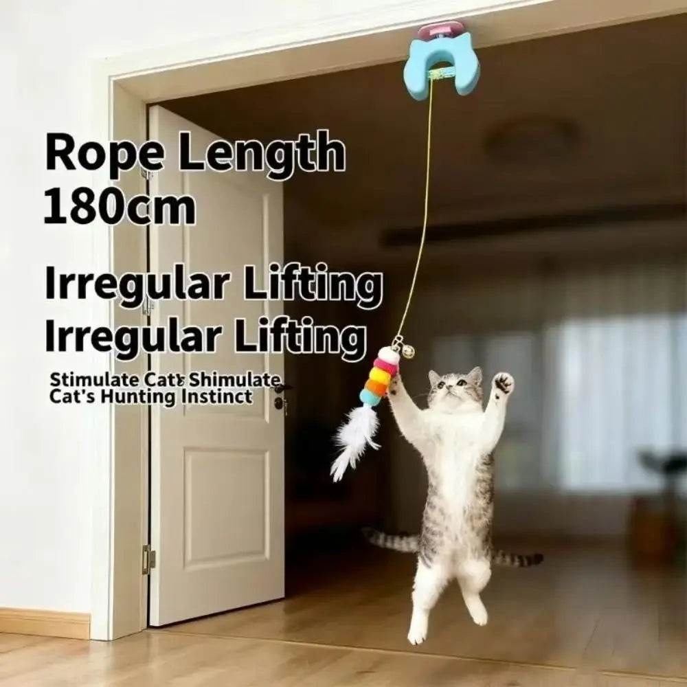 Creative Electric Door Hanging Automatic - MyPetDollar.com