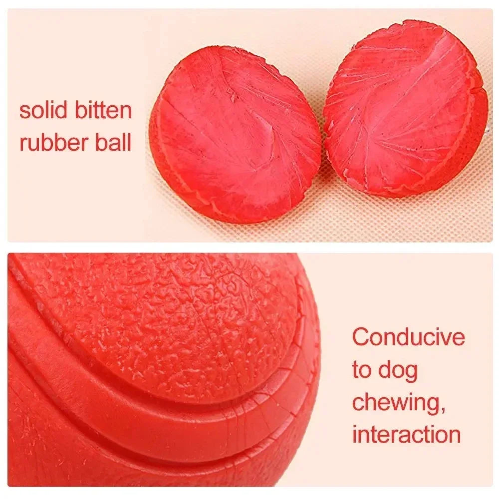 Durable Bouncy Dog Toy for Pets Chew Proof - MyPetDollar.com