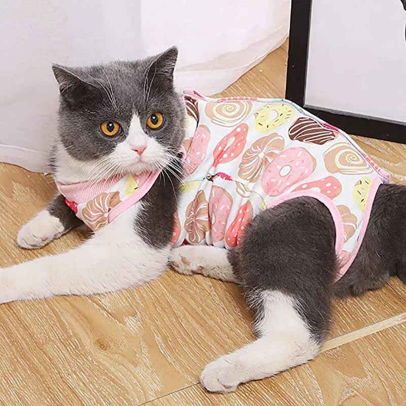 Cat Surgery Recovery - MyPetDollar.com